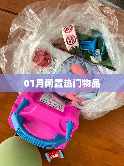 闲置热门物品一月大放送