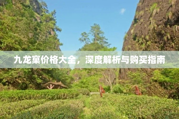 九龙窠价格大全,深度解析与购买指南