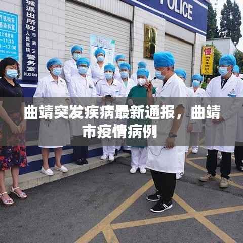 曲靖突发疾病最新通报,曲靖市疫情病例