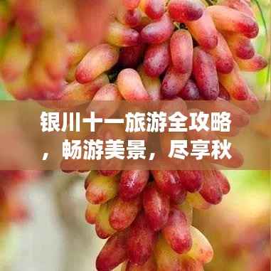 银川十一旅游全攻略,畅游美景,尽享秋日风情!