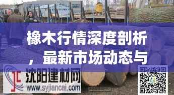 橡木行情深度剖析,最新市场动态与趋势解读