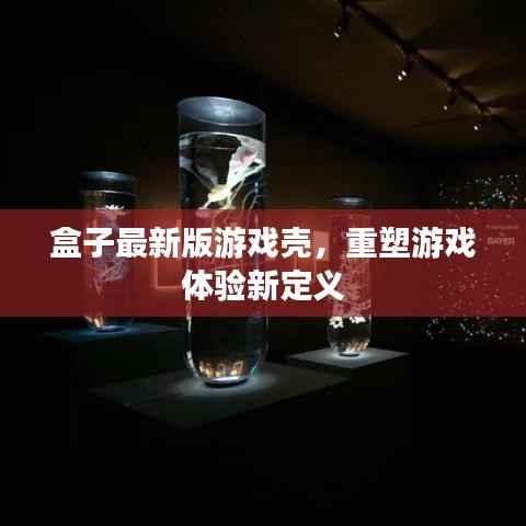 盒子最新版游戏壳,重塑游戏体验新定义