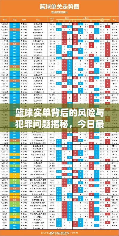 篮球实单背后的风险与犯罪问题揭秘,今日最新资讯汇总