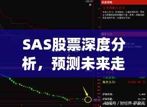 SAS股票深度分析,预测未来走势与前景展望