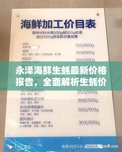 永泽海鲜生蚝最新价格报告,全面解析生蚝价格走势