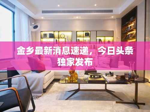 金乡最新消息速递,今日头条独家发布