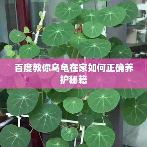 媒体报道 第142页