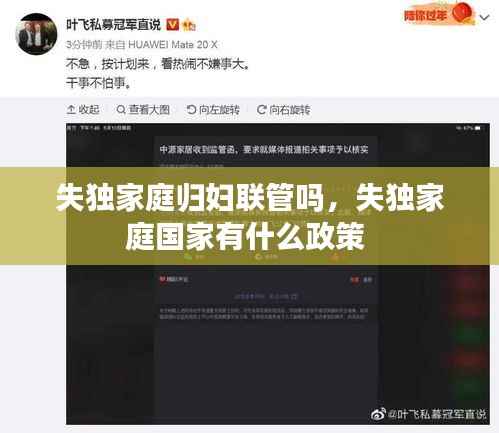 失独家庭归妇联管吗,失独家庭国家有什么政策