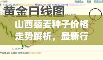 山西藜麦种子价格走势解析,最新行情与趋势展望