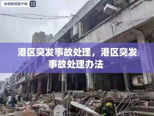 港区突发事故处理,港区突发事故处理办法