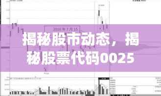 揭秘股市动态,揭秘股票代码002549每日行情分析