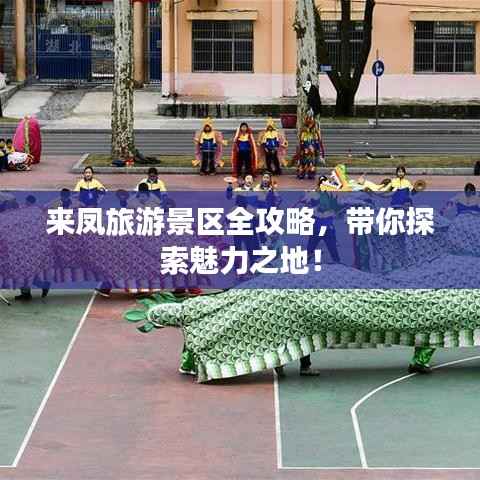 来凤旅游景区全攻略,带你探索魅力之地!