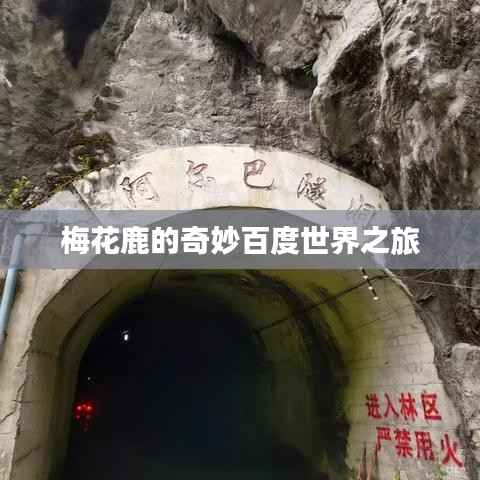 梅花鹿的奇妙百度世界之旅