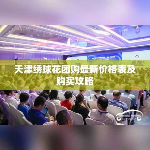 天津绣球花团购最新价格表及购买攻略