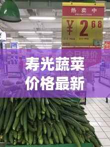 寿光蔬菜价格最新动态,市场走势及影响因素深度解析