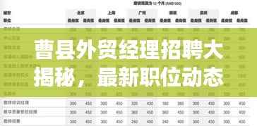 曹县外贸经理招聘大揭秘,最新职位动态与职业发展机遇