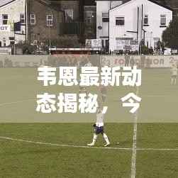 韦恩最新动态揭秘,今日消息抢先看!