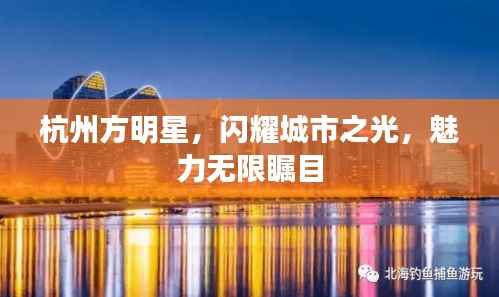 杭州方明星,闪耀城市之光,魅力无限瞩目