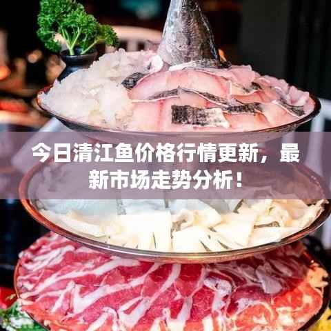 今日清江鱼价格行情更新,最新市场走势分析!