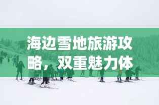 海边雪地旅游攻略,双重魅力体验,尽享海滨与雪景的乐趣!