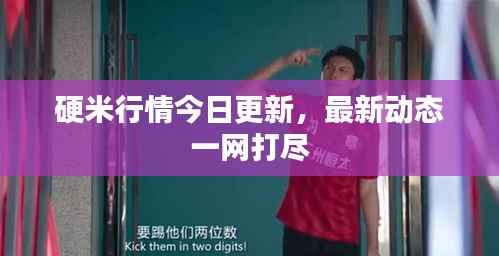 硬米行情今日更新,最新动态一网打尽